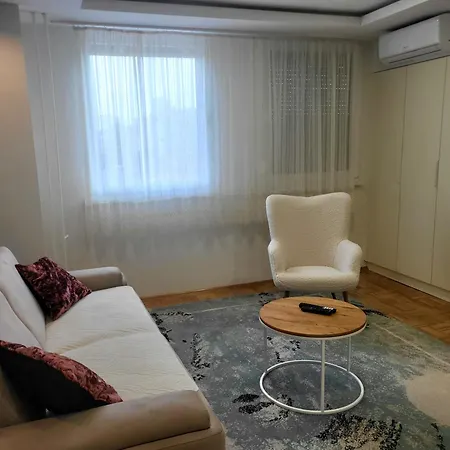 Ellie 巴尼西卢卡